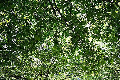 阵容雄厚 育碧新财年仍有11款游戏作品即将发售